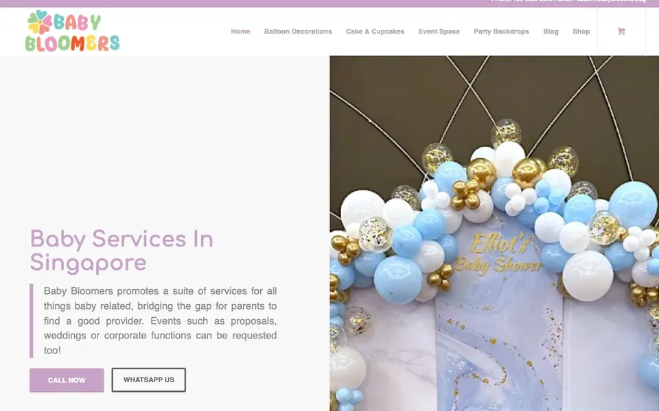 Baby Bloomers website homepage, 4 Oct 2026